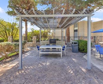 Pergola & lounge area